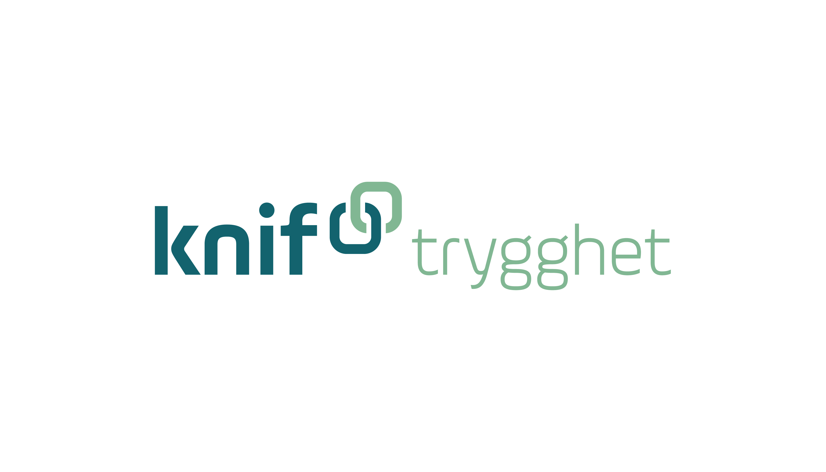 Årets hovedsponsor